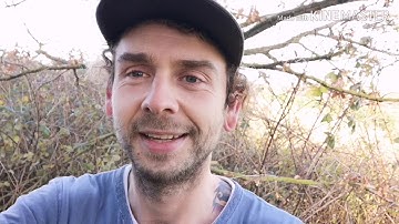 Wattle Fencing Lawsons Market Garden