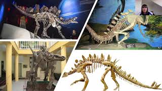 The Stegosaurian Dinosaurs screenshot 3
