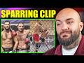 Chimaev vs. Strickland Sparring Leaked & Beef Escalates 🥊