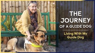 Living with my Guide Dog | Episode 8 | The Journey of a Guide Dog