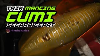 Cara memancing cumi Secara cepat