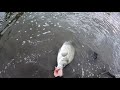 Middle of video