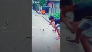 VID 20230220 WA0002