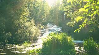 Rocky River Waterfall: Majestic Nature Sounds for Deep Relaxation