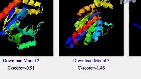 A Protocol for Computer Based Protein Structure and Function Prediction