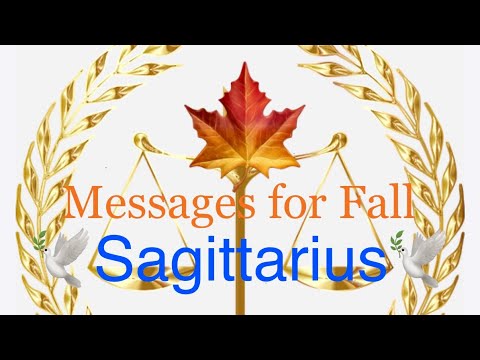 🕊Sagittarius: Your guides are trying to communicate with you regarding this situation.🕊