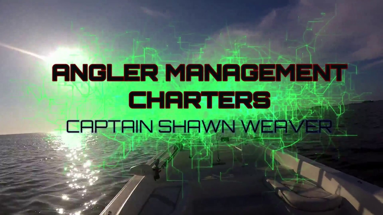 BOSSNA INTERNATIONAL PITBULL GX2500 REVIEW