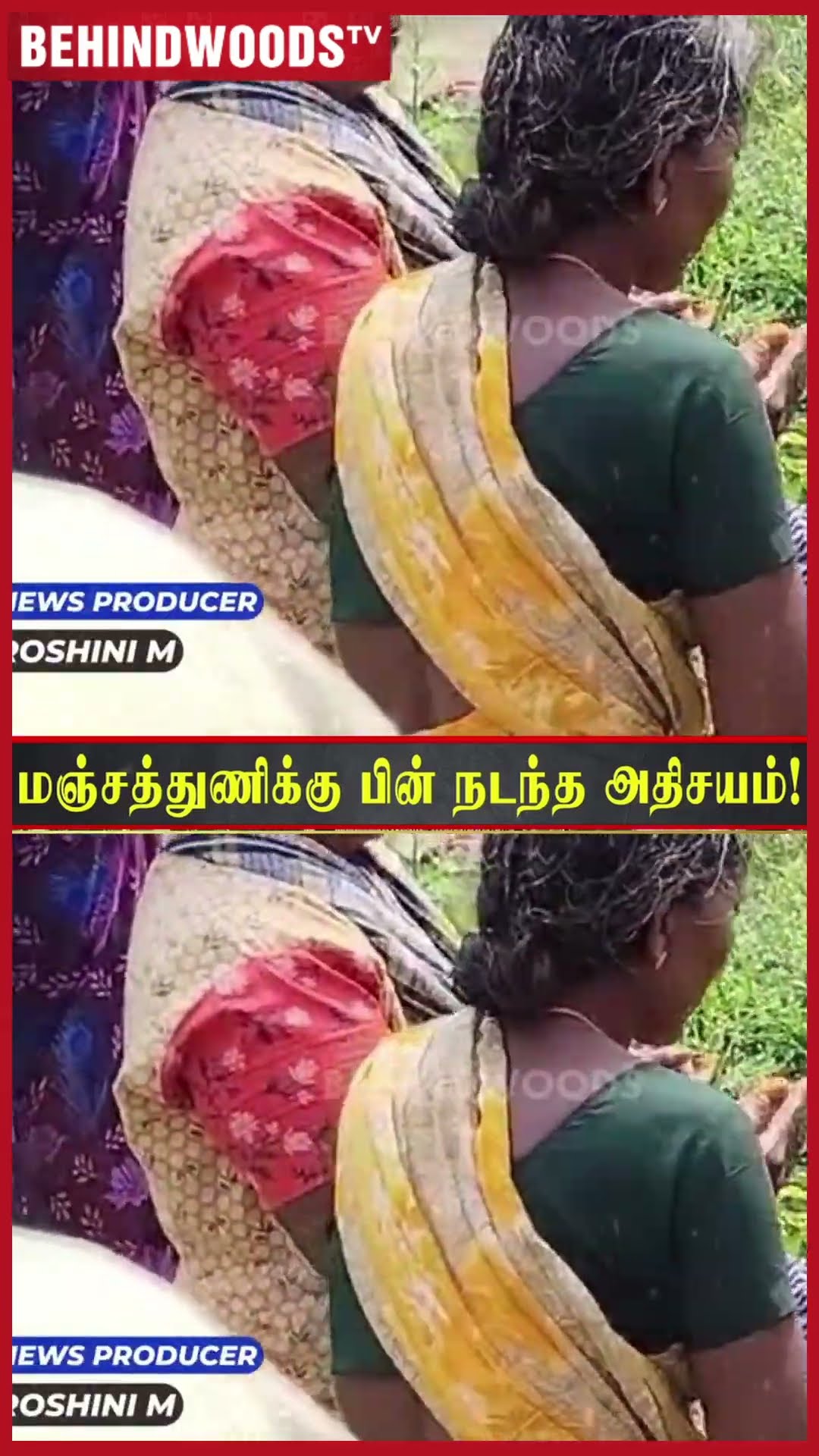 மரத்தில் கட்டிய மஞ்சள் சேலை ? வேப்ப மரத்தில் வந்த பால்