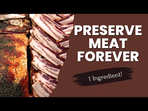 Preserve Meat Without Refrigeration FOREVER with only 1 Ingredient! | Historical Salt Cured Meat