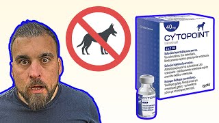 Cytopoint Injection Safety & Biggest Side Effects