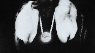 Max B - Public Domain 7:The Purge [FULL ALBUM]