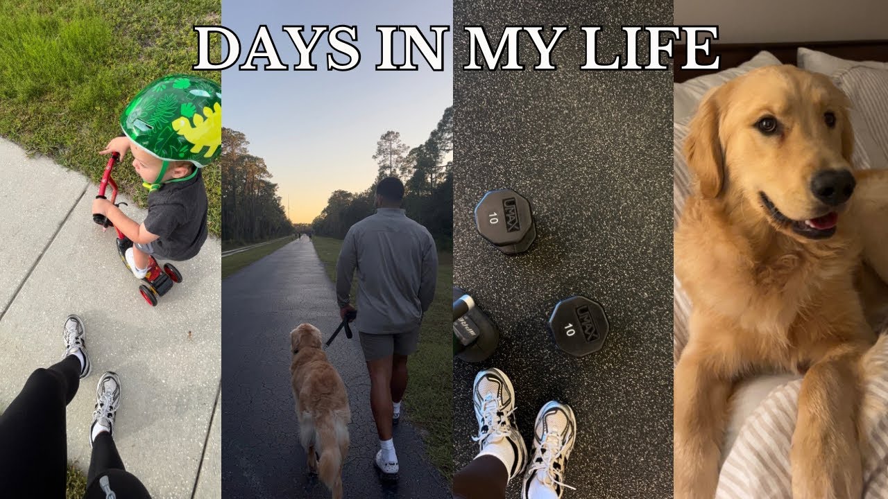 ДНИ МОЕЙ ЖИЗНИ: дрессировка Джекса на послушание, тренировка верхней части тела, присмотр за соба...