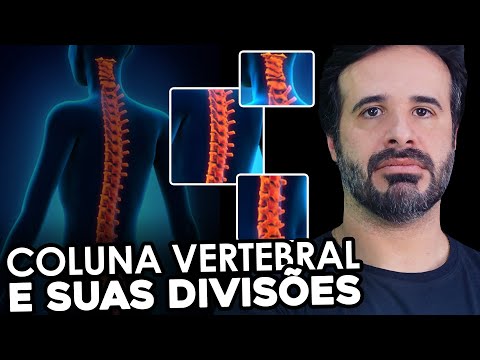 Vídeo: A fusão de vértebras funciona?