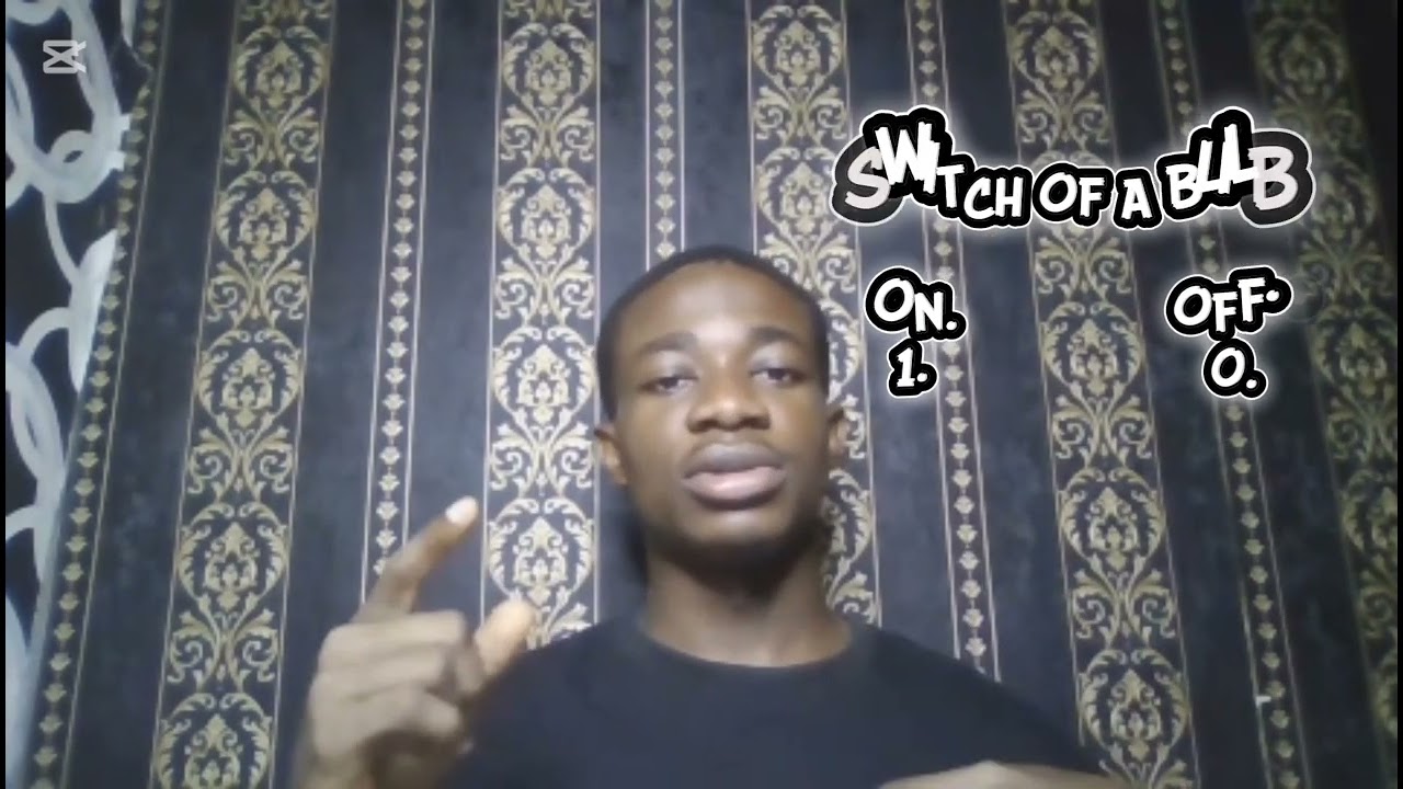 DATA REPRESENTATION: Bits and Bytes, Binary System.