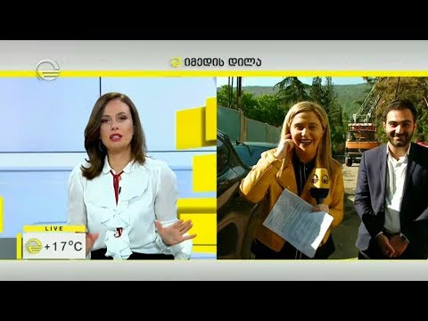 გაწითლებული ფიჭვები თბილისსა და შემოგარენში