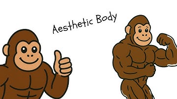 Getting Ripped Explained by an Ape