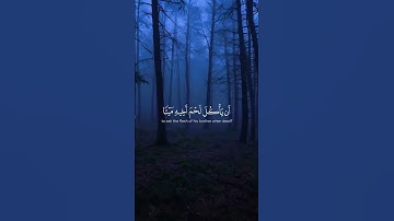 ارح_مسامعك_وقلبك_مع_تلاوه_القران #quran #اسلاميات #راحة_نفسية #راحة_نفسية #اكسبلور #تلاوة_خاشعة#قرآن