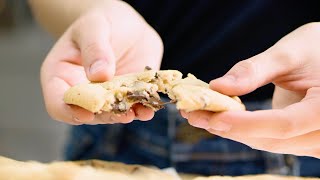 Baking Fails Short Version