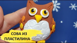 СОВА из пластилина. Видео лепка. Мастер класс для детей. Owl. How to make. Clay. Plasticine