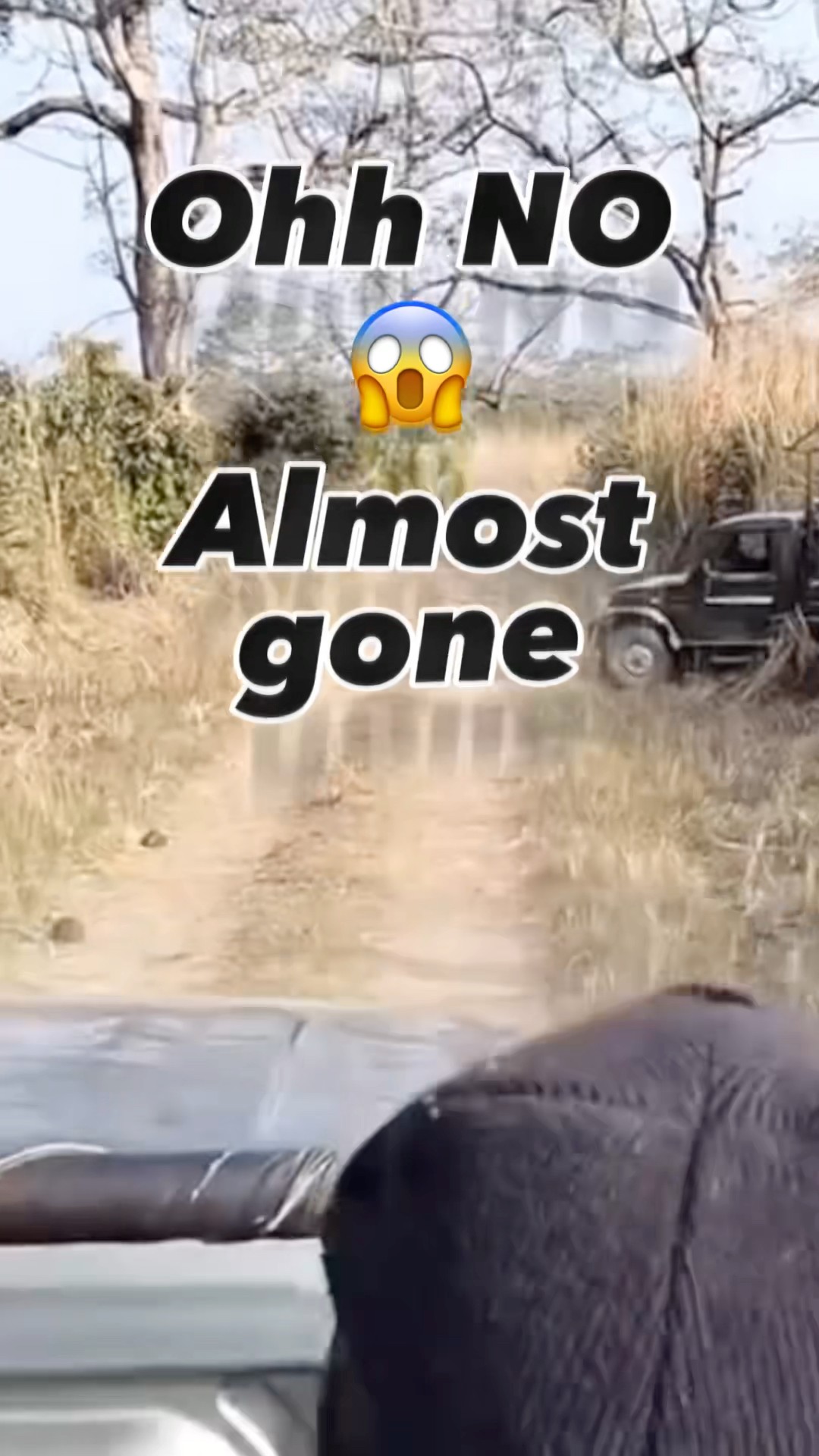Safari me hathi se aamna saamna, rooh kaanp gayi 😰 #elephant #wildlifeadventure #shorts