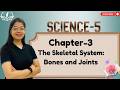⁨AWESOME SCIENCE-5 | CHAPTER-3 : THE SKELETAL SYSTEM: BONES AND JOINTS