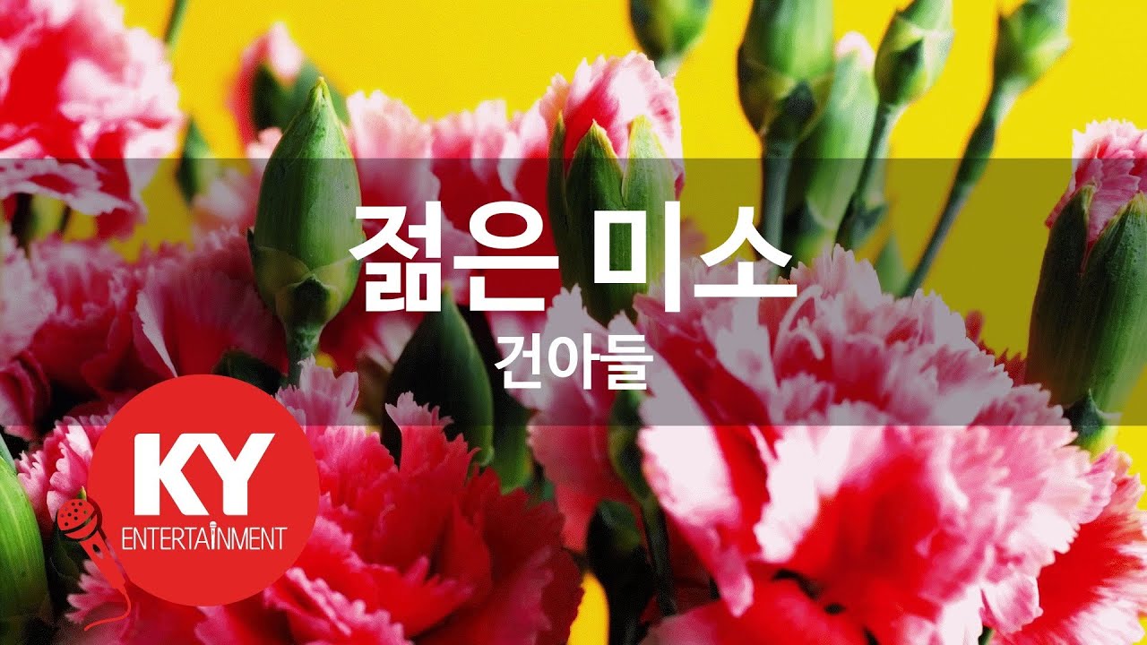 [KY ENTERTAINMENT] 젊은 미소 - 건아들 (KY.971) / KY Karaoke