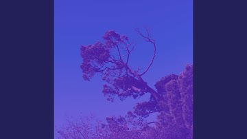 High Class Ambiance for After Hours Work