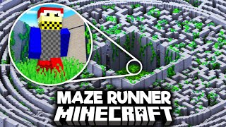 Minecraft's Worst Players Simulate The Maze Runner...
