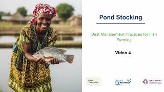 Pond Stocking