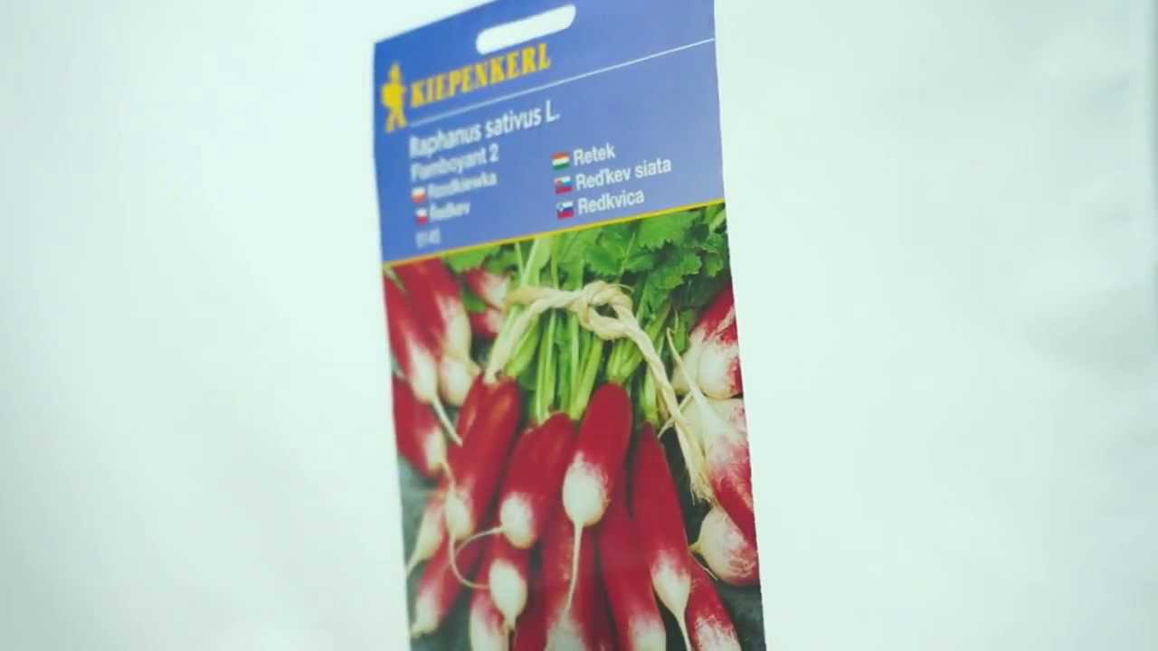 Ředkvička Flamboyant 2 - semena ředkviček