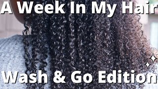 A Week In My Fine Type 4 Low Porosity Natural Hair | DIY Ayurvedic Gel, Wash &amp; Go, Daily Routine