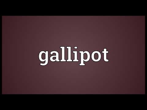 Header of gallipot