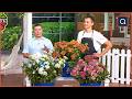 Garden Favorites from Roberta’s Unique Gardens | QVC