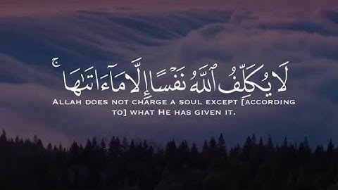 من سورة الطلاق بصوت القارئ رعد الكردي | حالات واتساب قرآن