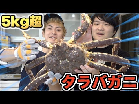 【5Kg】生きた超巨大タラバガニをトミックさんと大食い!!
