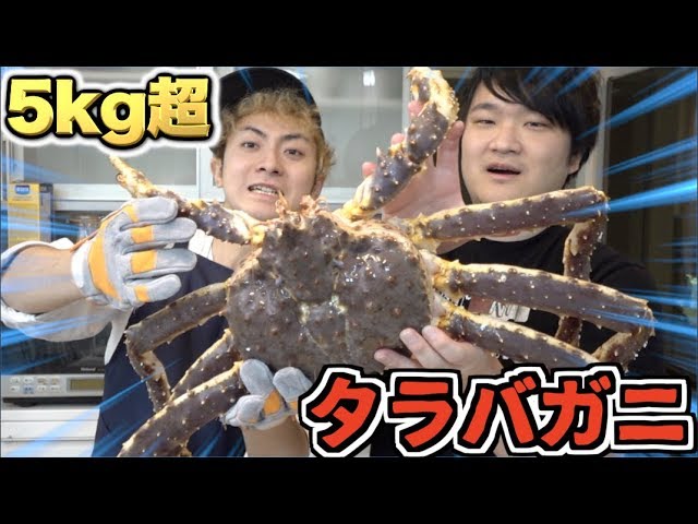 5kg] Eating a gigantic live king crab with Tomic!! - YouTube