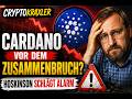 CryptoKraxler: Cardano vor dem Zusammenbruch? Hoskinson schlägt Alarm