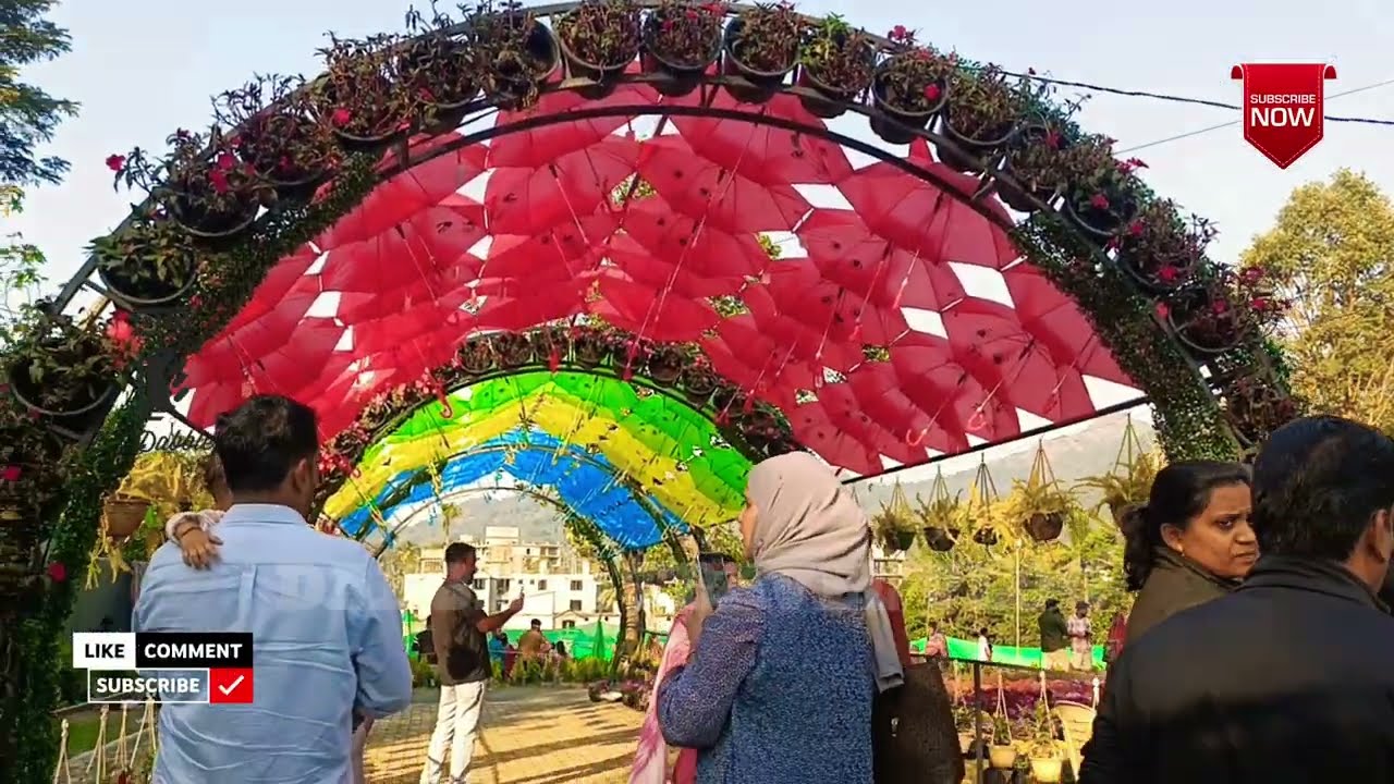 വയനാട് കൽപ്പറ്റയിലെ മനംമയക്കുന്ന ഫ്ലവർ ഷോ💐  | Kalpetta Flower Show WayanadKalpetta 💐