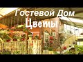 Геленджик частный сектор Гостевой дом Цветы улица Грибоедова 3а