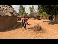 Preparing sorghum // African village life
