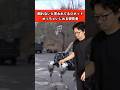 倒れないと言われてるロボットめっちゃいじめる研究者　#ロボット #あるある
