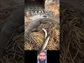 പുതിയ മീൻ പിടുത്തം #mallutraveler#fishingfreaks#shortsX#mallu#malayalam#m4tech