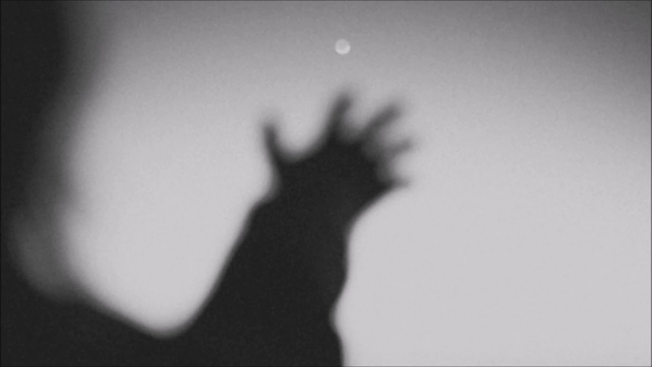 Blackbird - Natural Light