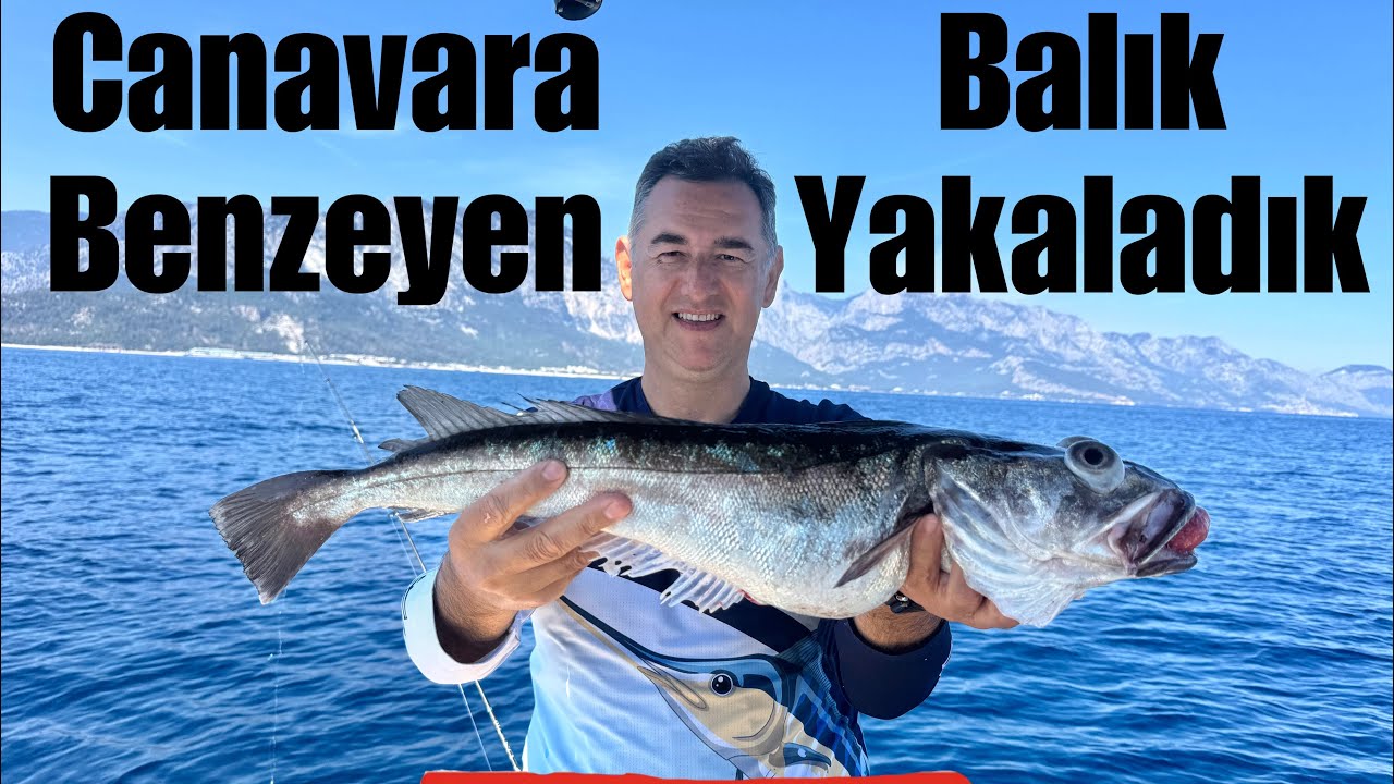 Canavara benzeyen balık, 500 metreye olta indirdik (Balık avı)
