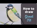 How to draw a bird - Great Tit - Easy drawing for beginners | Colour wheel Arts