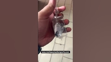 BKK Hooks available at www.mahigeerwatersports.com #bkk #bkkhooks