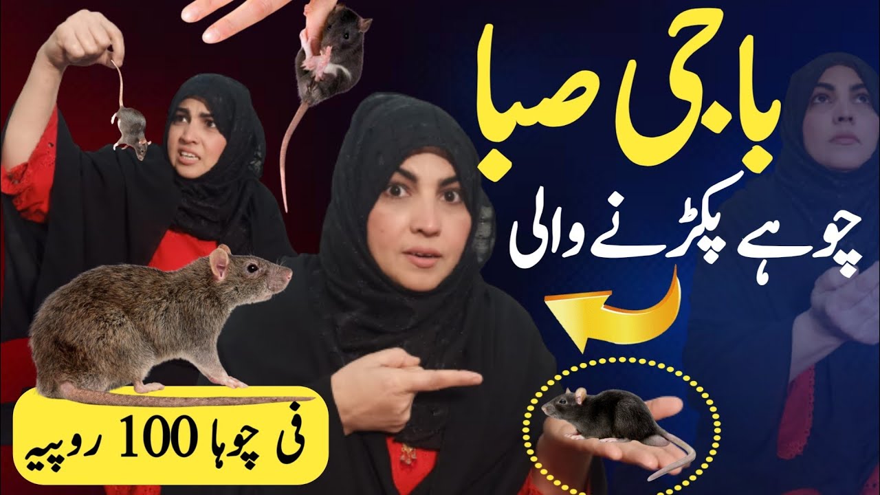 baji-saba-chohy-pakerny-wali-funny-comedy-video-funny-dasi-anchor