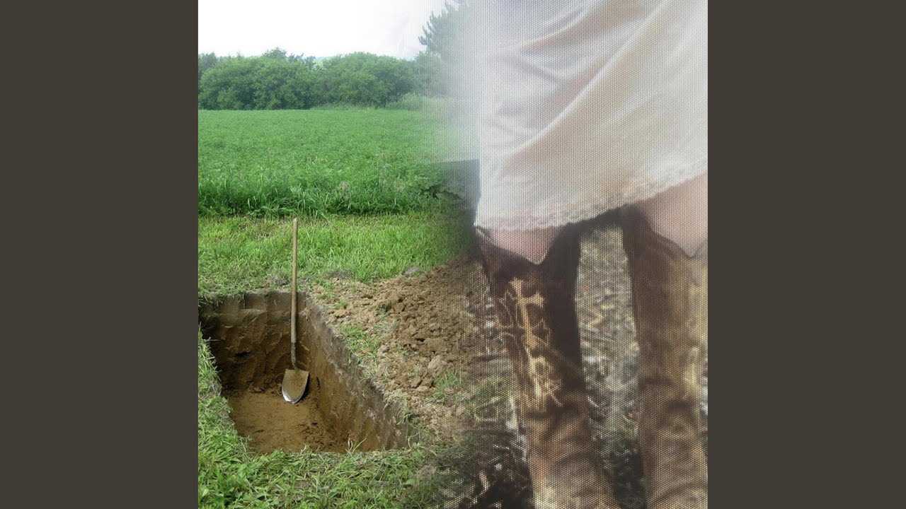 when the fairies meet the wind blowers at the magical forest