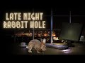 Late Night Rabbit Hole 10/07/2023