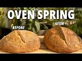 3 FAILSAFE TIPS to MAXIMISE Your Sourdough Bread OVEN SPRING